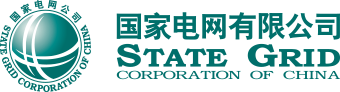 国家电网有限公司